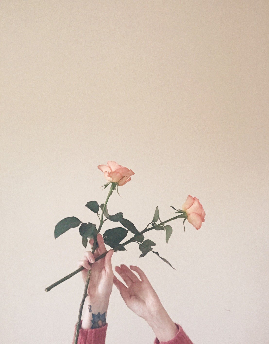 vulnerability 1