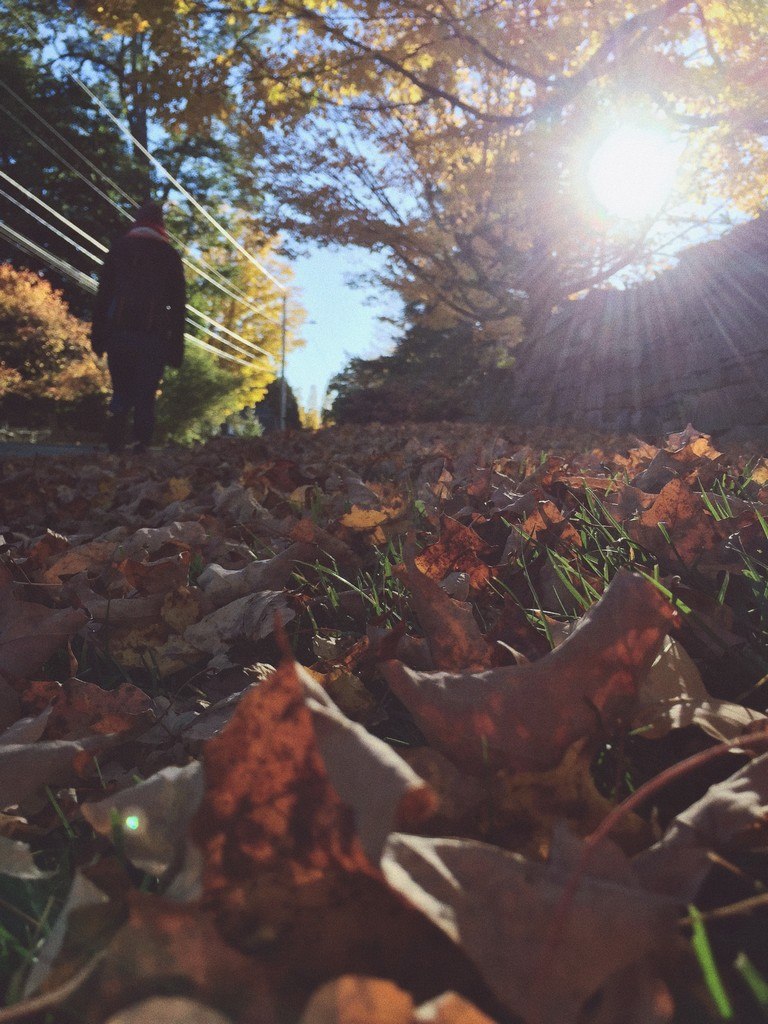 Processed with VSCO with s1 preset