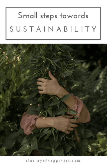 Small steps towards sustainability 
